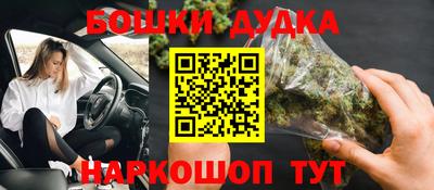 индика Можга