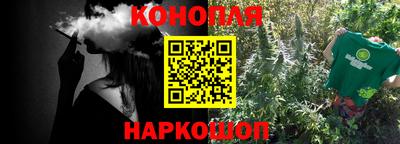 индика Можга