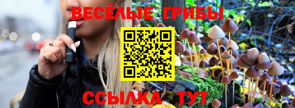 Элиста  Псилоцибиновые грибы мухоморы  Вход с VPN 