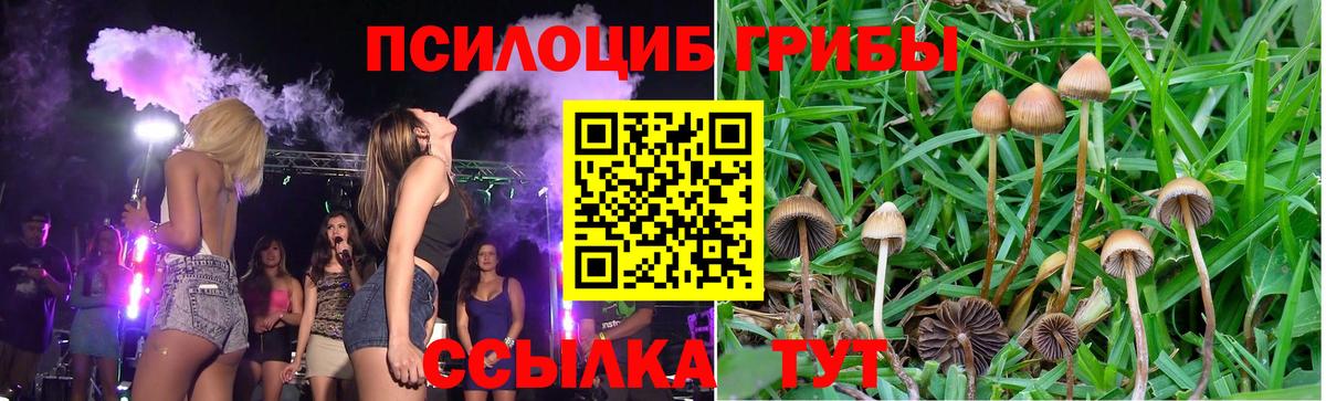 Галлюциногенные грибы прущие грибы Элиста